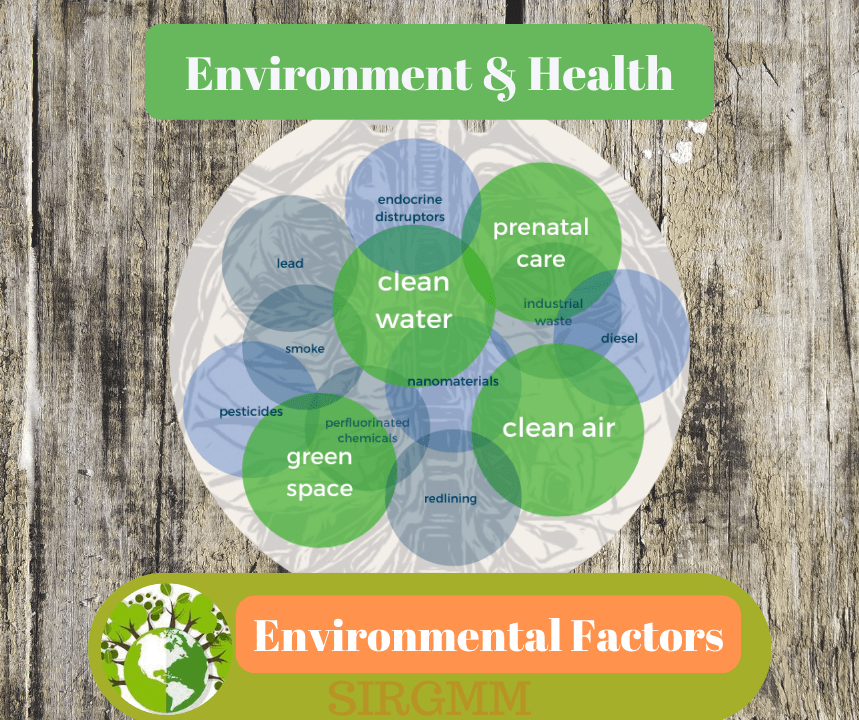 Environmental Health